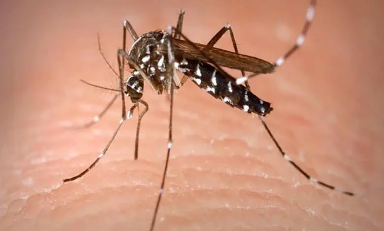 Karnataka govt notifies dengue fever as ‘epidemic disease’