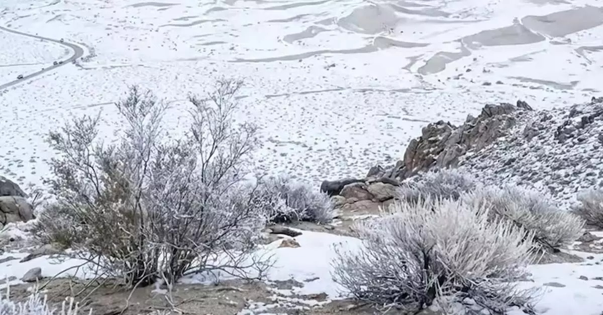 Saudi Arabia: First snowfall in three decades; temperature rise in Iceland