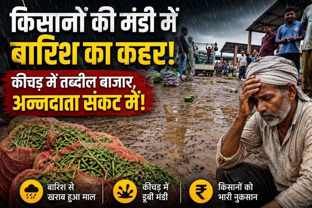 किसानों की मंडी में बारिश का कहर: कीचड़ में तब्दील बाजार, अन्नदाता संकट में!