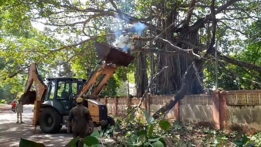 बेलगावी: कैंटोनमेंट रोड पर गिरा बरगद का दरख़्त, साजिद शेख ने फौरन रास्ता खुलवाया।