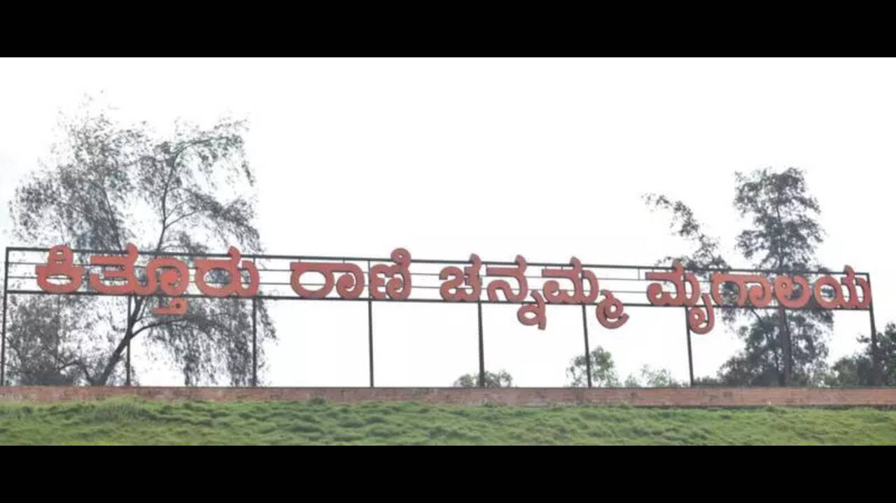 बेलगावी के चिड़ियाघर में आएंगे ज़ेब्रा, जिराफ़ और कई नई वन्यजीव प्रजातियां!